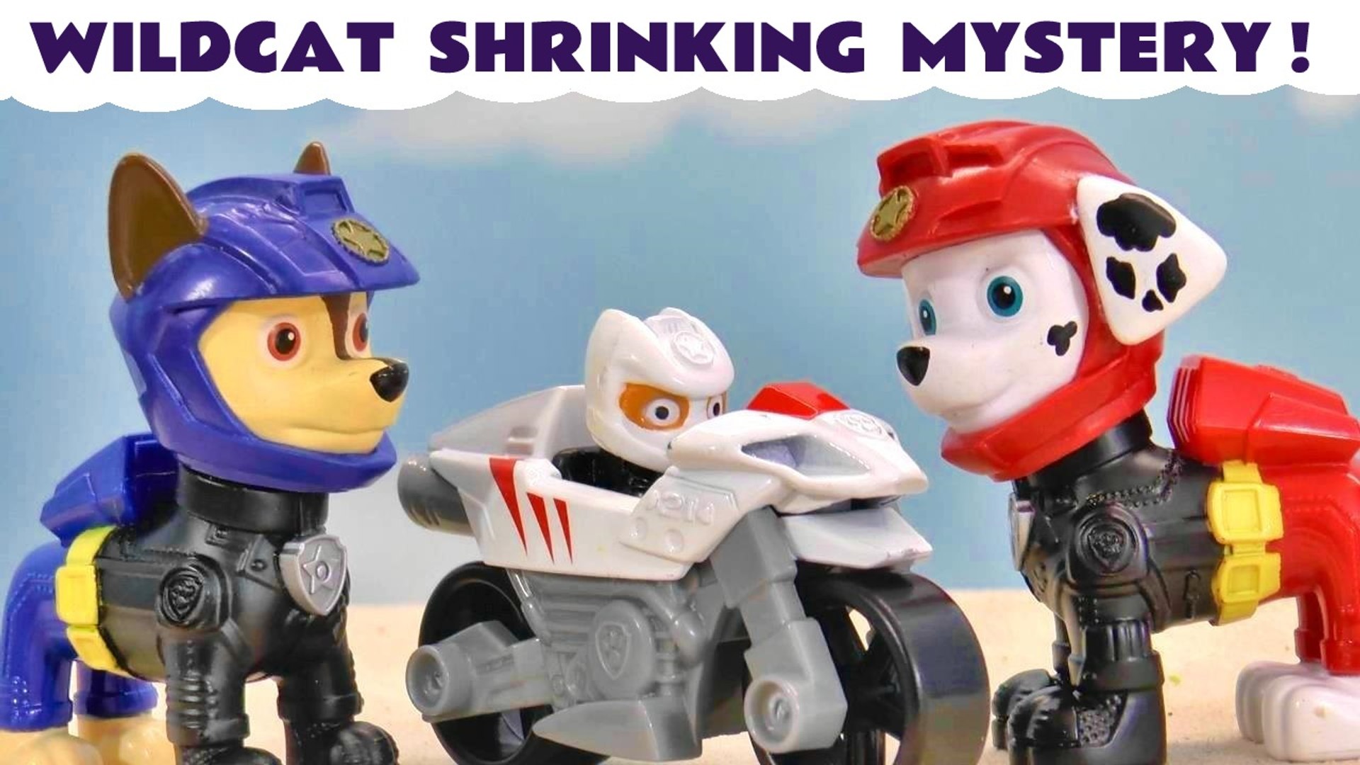 PAW Patrol LA PAT' PATROUILLE - FIGURINES PAT' PATROUILLE MOTO