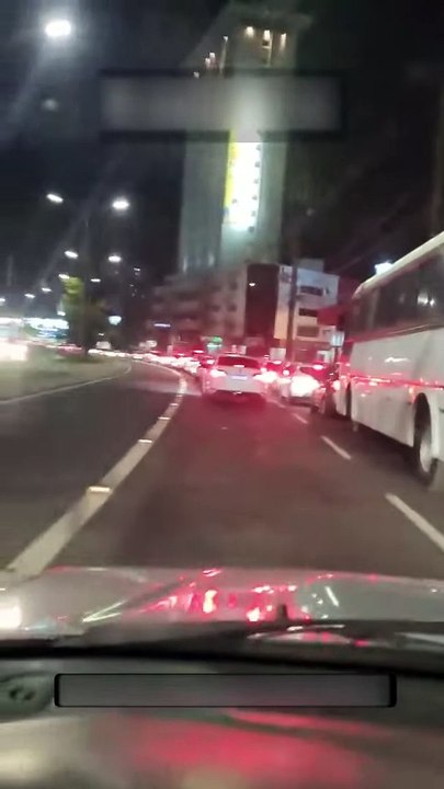 Un cheval est un cheval dans un bus bien sûr - Buzz Buddy