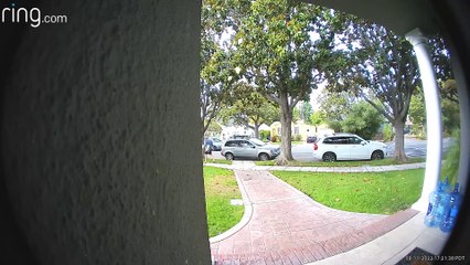 Carjacking présumé pendant la livraison de pizza - Buzz Buddy