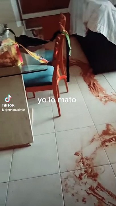 Le chien décorateur d'intérieur utilise du cacao pour accessoiriser - Buzz Buddy