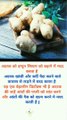 interesting facts about ginger || अदरक के रोचक तथ्य