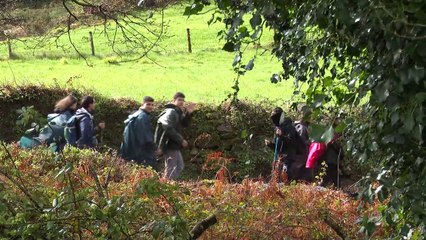 Más allá del Camino Francés: de cruzar la Ribeira Sacra a surcar la ría de Arousa