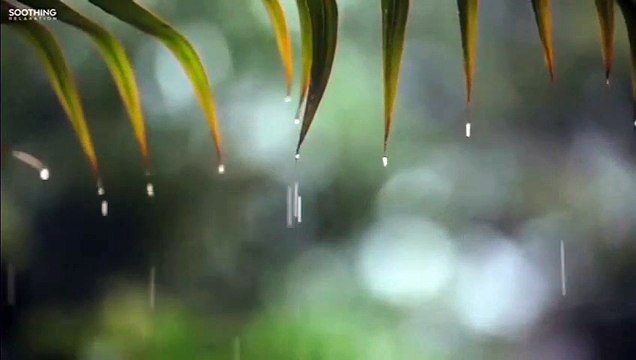 You & Me • Musique Relaxante au Piano et Bruits de Pluie Douce pour Dormir et Étudier
