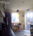 Dog Falls Off Kitchen Table
