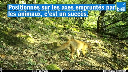 Le_feuilleton_des_biotresors_du_parc_des monts d'Ardèche