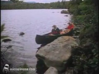 William Wegman's The Hardly Boys in Hardly Gold