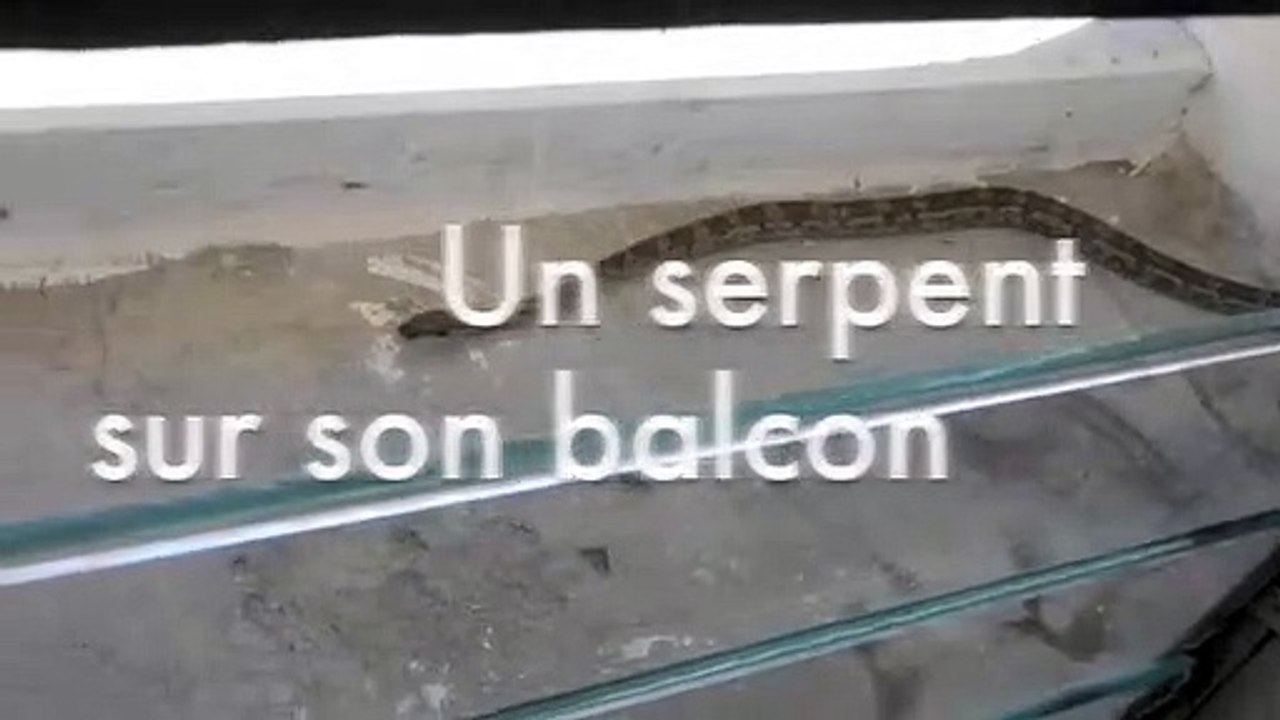 Serpent