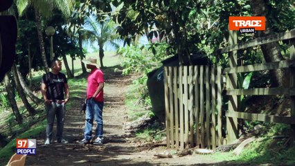 Paille sur Trace Urban