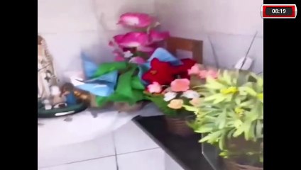 DROGAS SÃO ENCONTRADAS DENTRO DE TÚMULO NA PARAÍBA