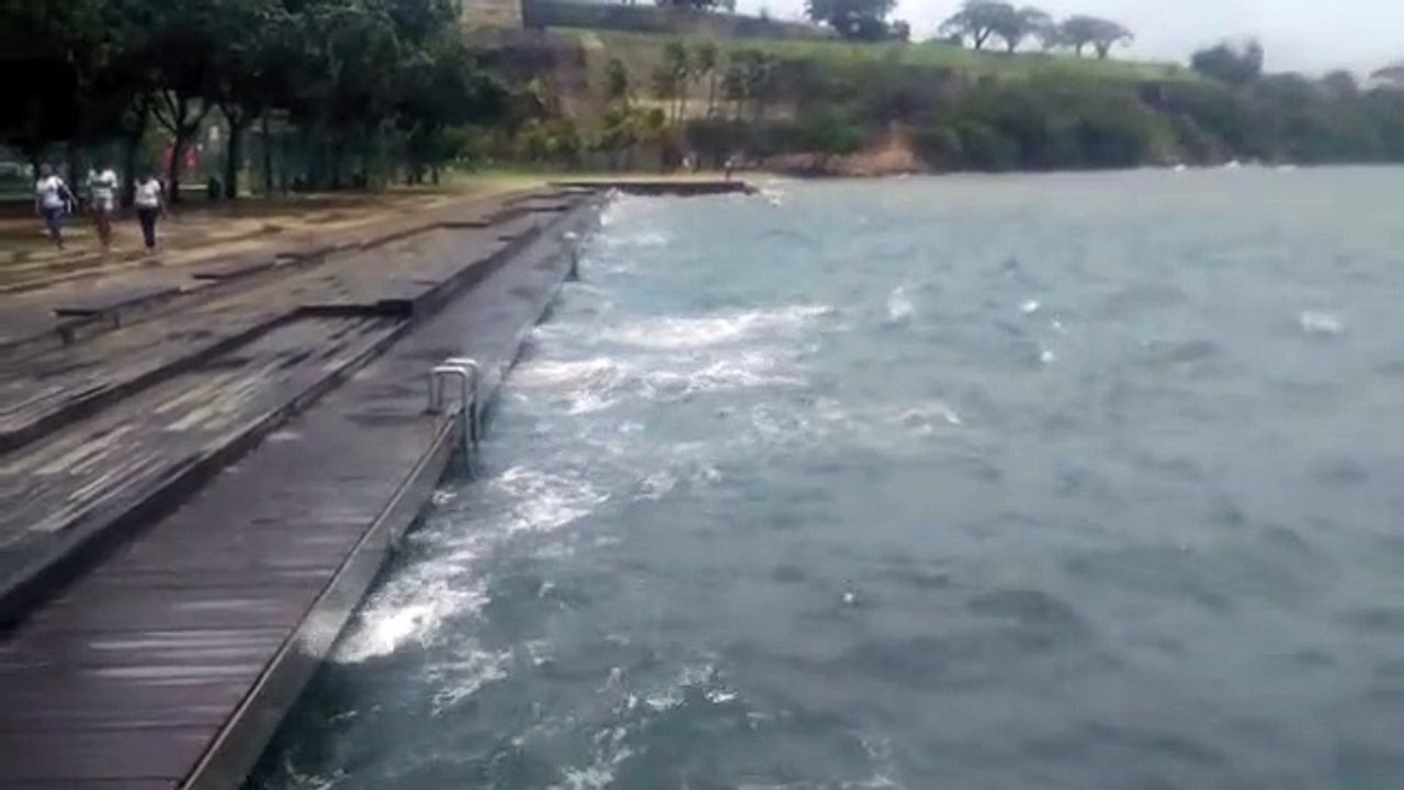 effets irma