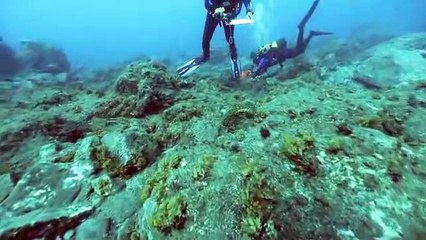 monaco explorations 2