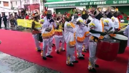 parade saint-pierre mardi gras 2018