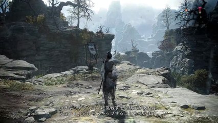 Wo Long Fallen Dynasty Tuto