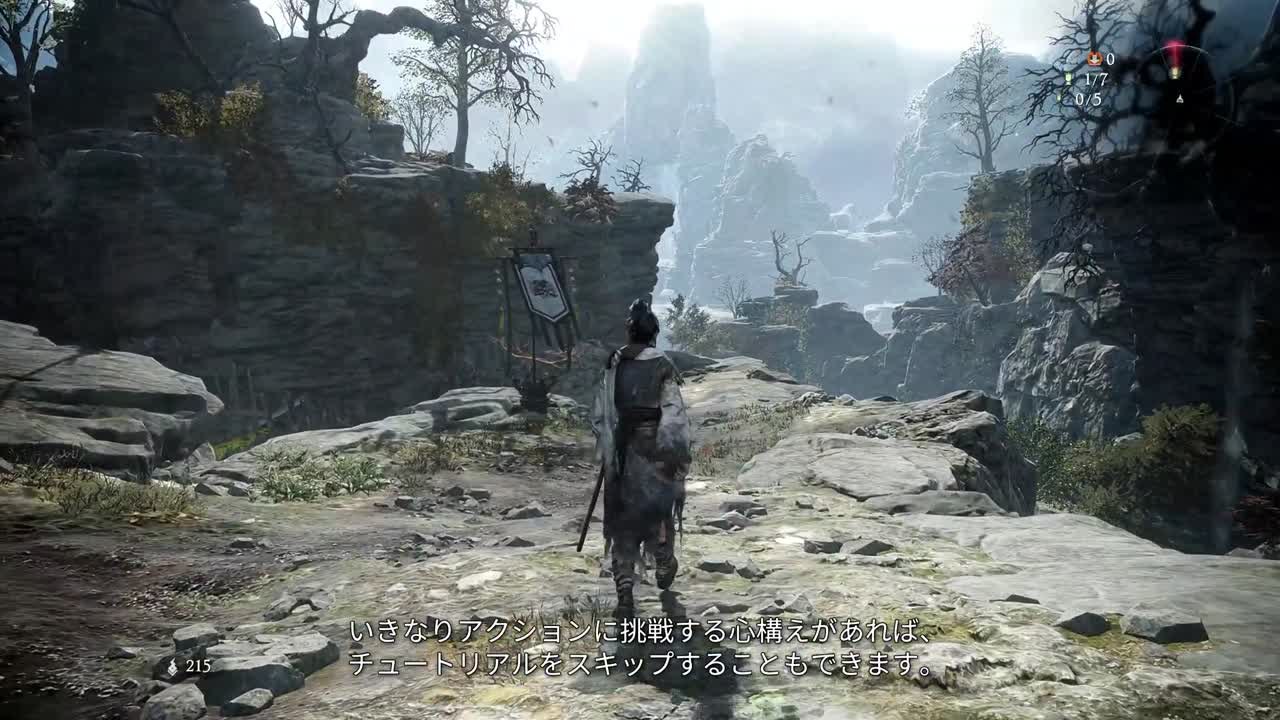 Wo Long Fallen Dynasty Tuto