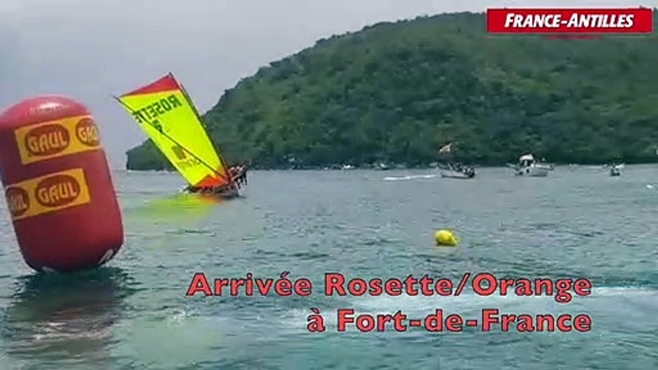 Rosette/Orange Fdf