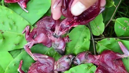 The STRANGEST Foods That Only Exist In China!