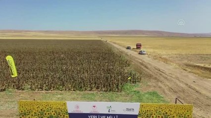 Bakan Kirişci: "Ayçiçeği ekim alanlarının genişlemesini çok arzu ediyoruz"