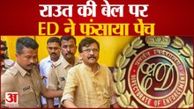 Patra Chawl Scam: ईडी ने संजय राउत की जमानत का किया विरोध, विशेष अदालत में दाखिल किया जवाब