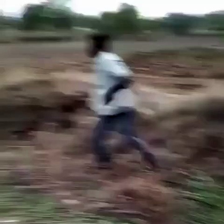 funny-status-video-0178