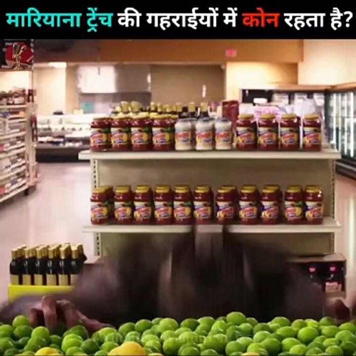  मारियाना ट्रेंच की गहराईयों में कोन रहता है? #marianatrench #seacreatures #animals #shorts