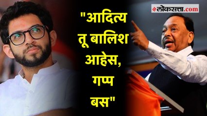 नारायण राणे आदित्य ठाकरेंवर संतापले
