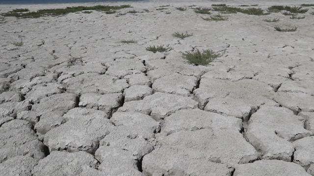 Burdur haberleri | Mehmet Göker'den Çevrecilere Çağrı: Salda Gölü'ne Gösterilen Duyarlılık Burdur Gölü'ne de Gösterilmeli