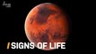 Perseverance Finds Strongest Signs Yet of Life on Mars