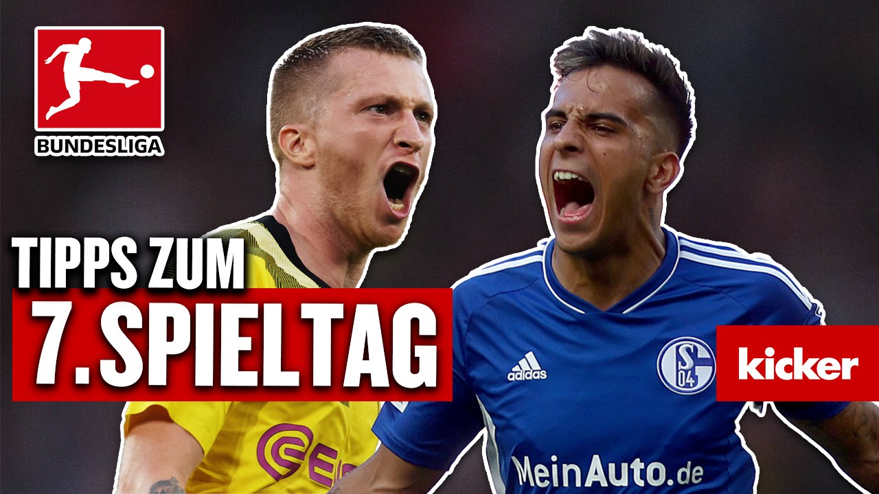 Prognosen zum 7. Spieltag: Stolpert der BVB auch im Derby gegen Schalke?