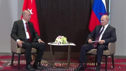 Cumhurbaşkanı Erdoğan, Putin'le görüştü