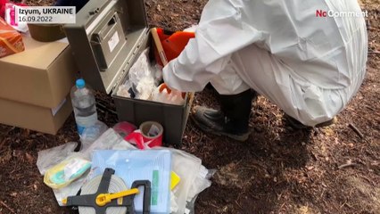 Ukraine: near Izyum, the war dead buried in a forest