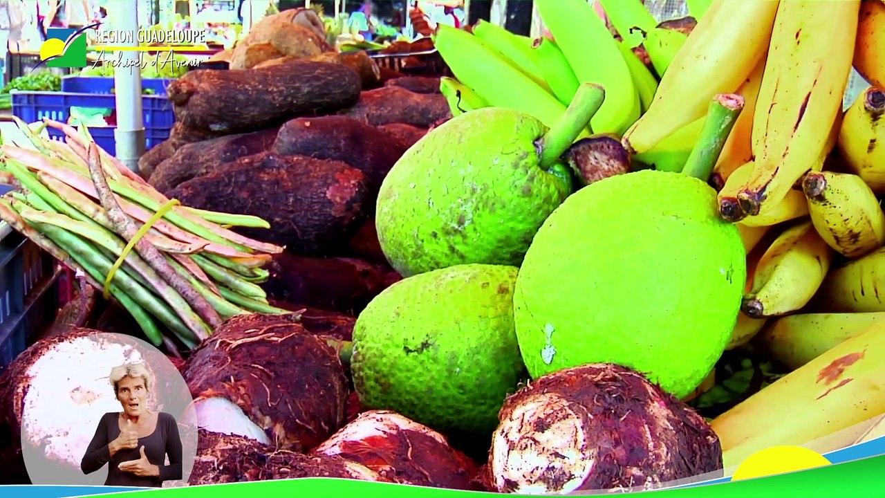 Voeux Ary Chalus 2021