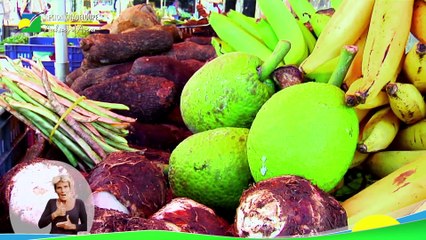 Voeux Ary Chalus 2021