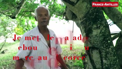 guérisseur de blès