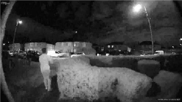 Royaume-Uni : un météore observé dans le ciel