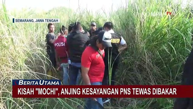 Kisah Haru Mochi, Anjing Kesayangan Paulus Iwan Temukan Potongan Tubuh Majikannya