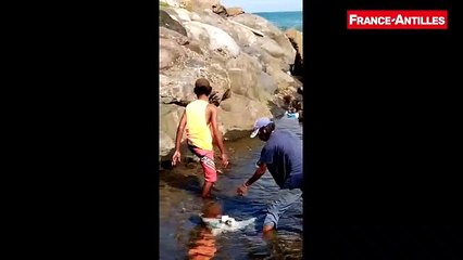 Pêche titiris Grand-Rivière