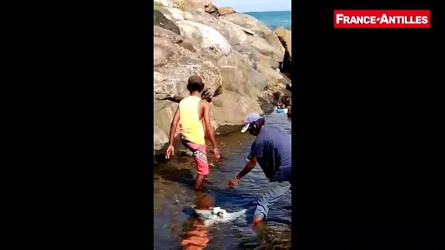 Pêche titiris Grand-Rivière