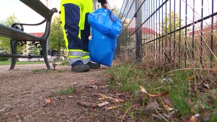 Дания борется с окурками