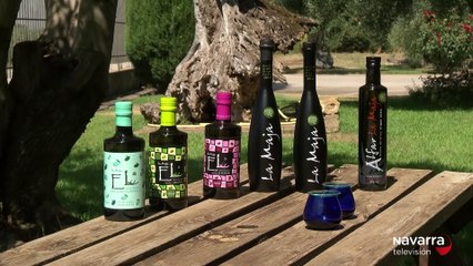 VTR FERIA DE LAS DO DE MENDAVIA (PREVIA)_VTR_150425_1.mp4