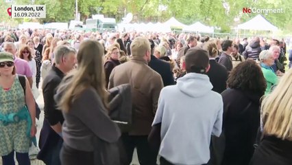 David Beckham queues to see the Queen's coffin in London.