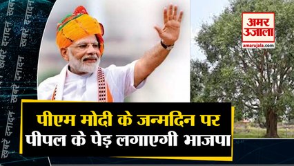 पीएम मोदी के जन्मदिन पर पीपल के पेड़ लगाएगी भाजपा समेत देखिए 10 बड़ी खबरें