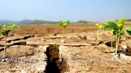 A vendre - Maison - PALAISEAU (91120) - 7 pièces - 133m²