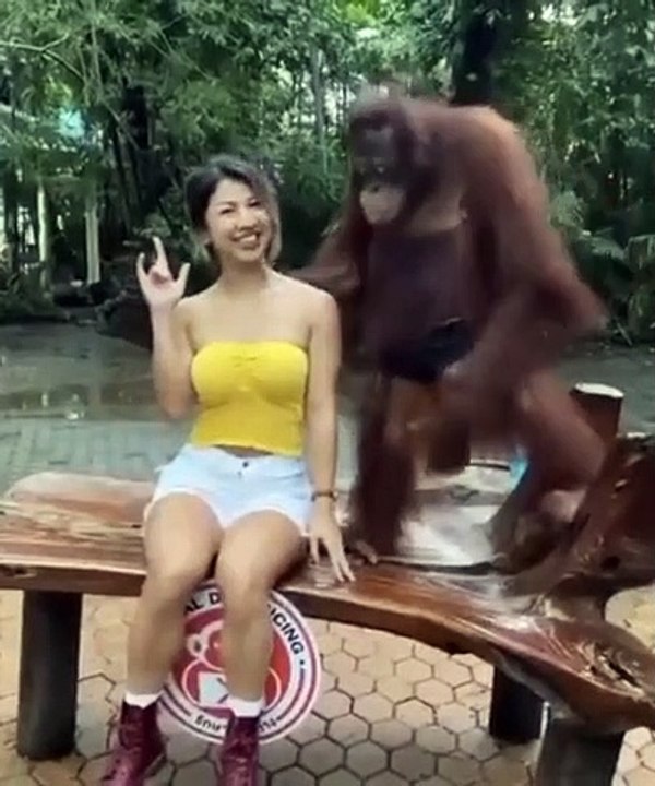 KEMISTRI ORANG HUTAN DENGAN MANUSIA