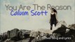 You Are The Reason - Calum Scott Cover Song and Lyrics