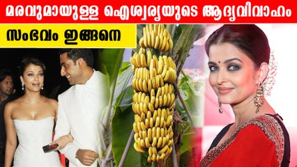 ജാതക ദോഷം മൂലം ഐശ്വര്യ ആദ്യം മരത്തിനെ വിവാഹം കഴിച്ചു |*Movies