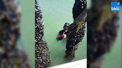 Xavier Delaunay, Producteur de moules de bouchots de la Baie du Mont Saint-Michel au Vivier-sur-Mer