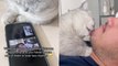 Adorable cat unleashes his clingy side following reunion with human dad after two months