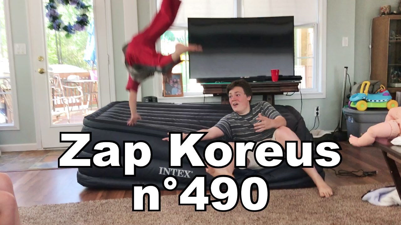 Zap Koreus n°490