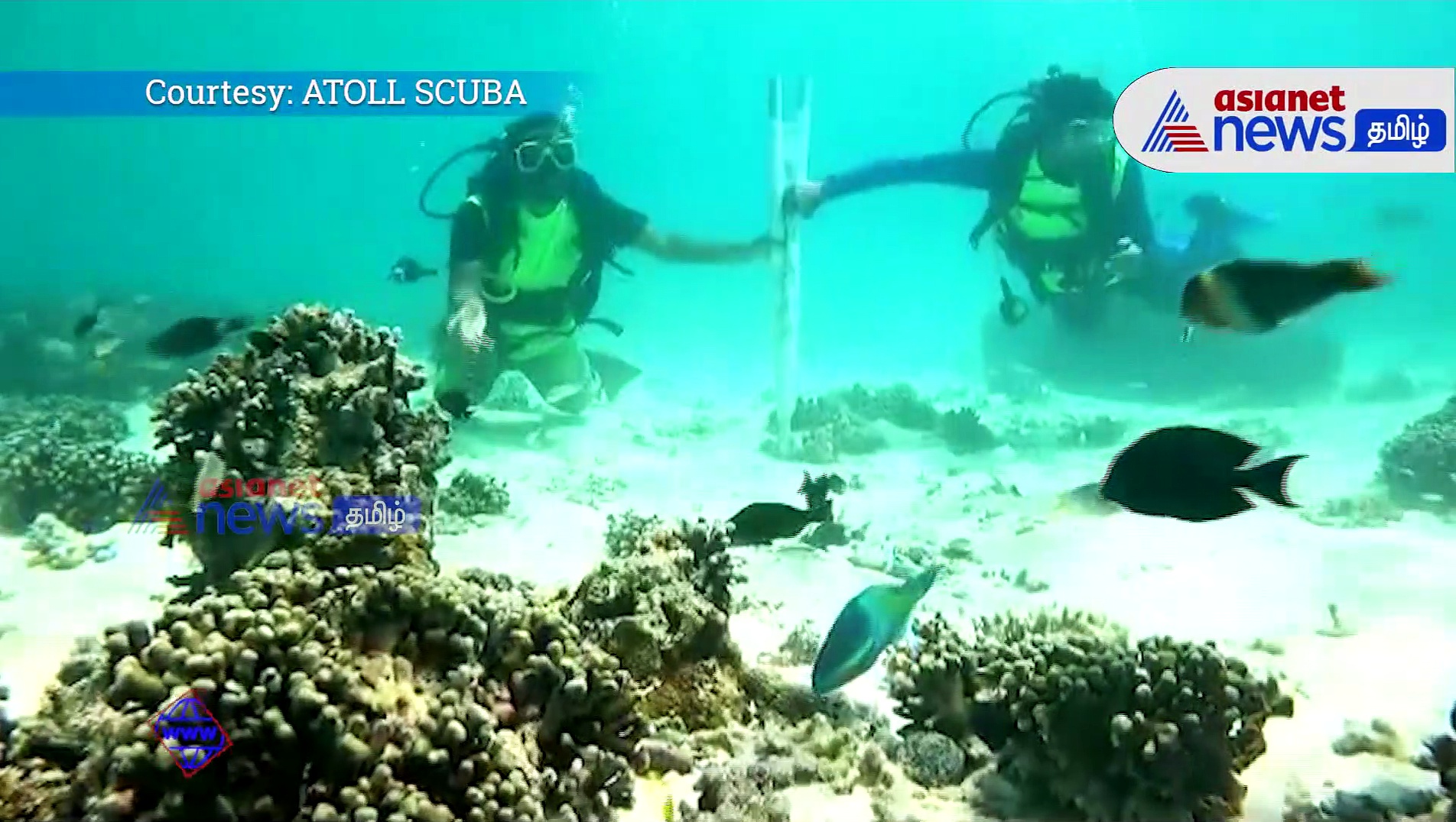 PM Modi : பிரதமர் மோடி பிறந்தநாள் ;  ஆழ்கடலினுள் இருந்து வாழ்த்து தெரிவித்த ஸ்கூபா டைவர்கள்!