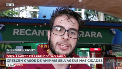 Pré-Carnaval em Olinda 16/09/2022 14:21:31